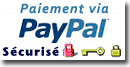 logo Paypal